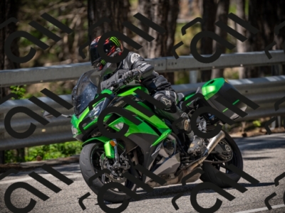 20250531115127-DSC_4097_am_