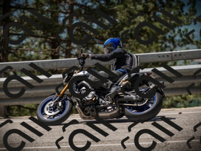 20250531115136-DSC_4101_am_