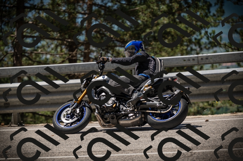 20250531115136-DSC_4101_am_