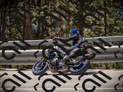 20250531115136-DSC_4102_am_