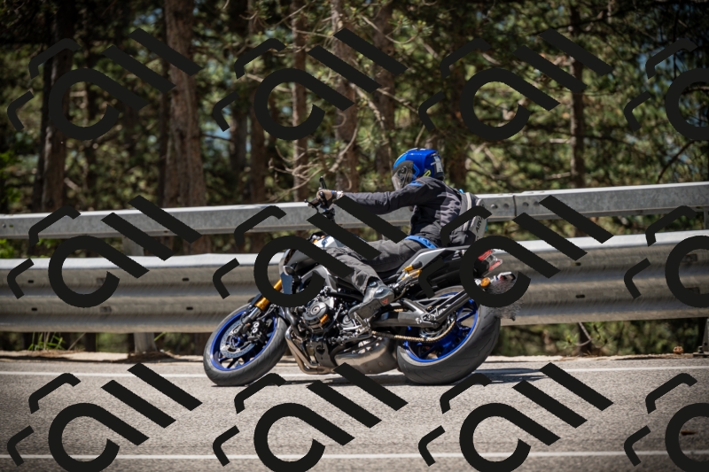 20250531115136-DSC_4102_am_