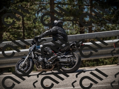 20250531115150-DSC_4105_am_