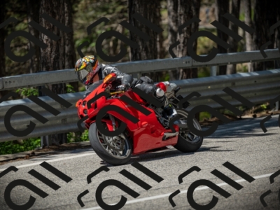 20250531115210-DSC_4111_am_