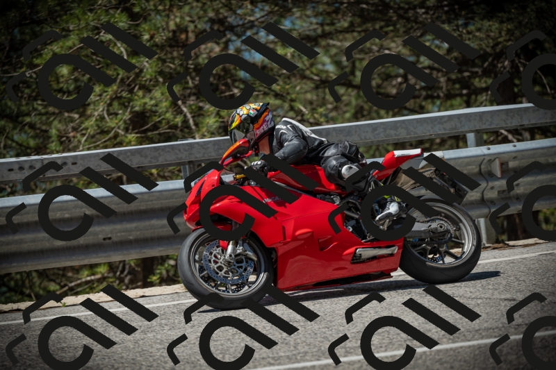 20250531115211-DSC_4112_am_