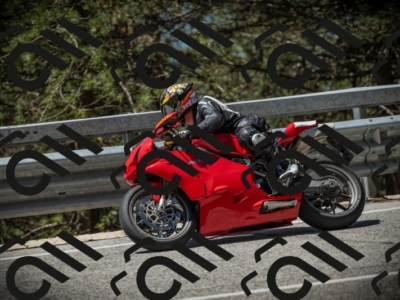 20250531115211-DSC_4112_am_