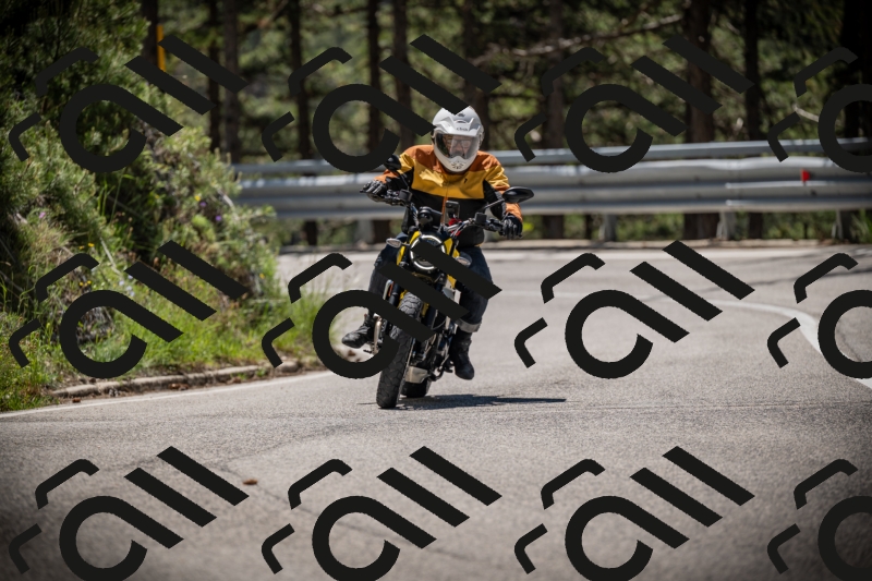 20250531115258-DSC_4118_am_