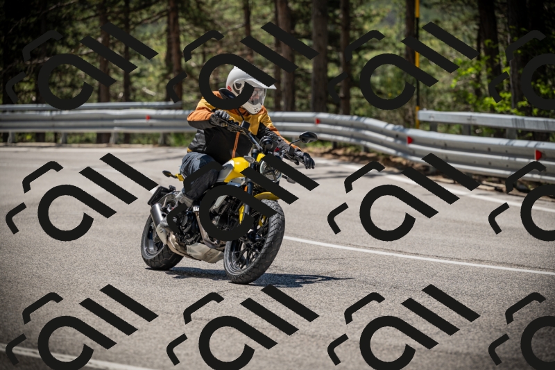 20250531115259-DSC_4119_am_