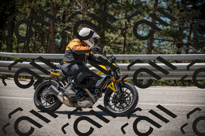 20250531115300-DSC_4120_am_