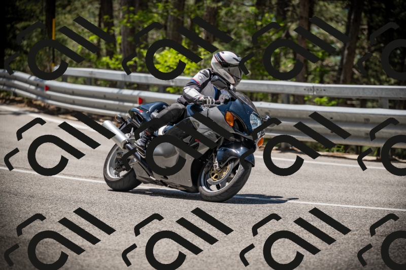 20250531115302-DSC_4122_am_