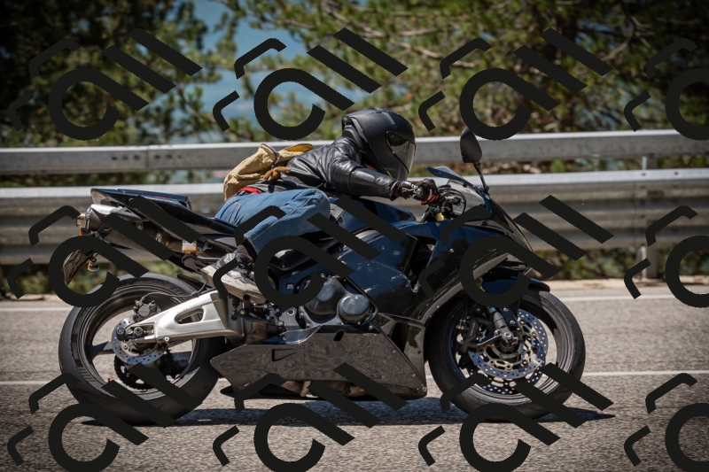 20250531115303-DSC_4124_am_