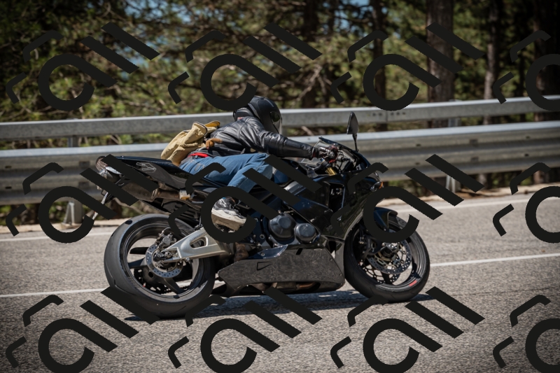 20250531115303-DSC_4125_am_