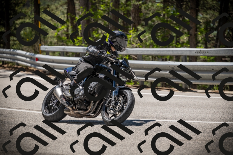 20250531115325-DSC_4126_am_