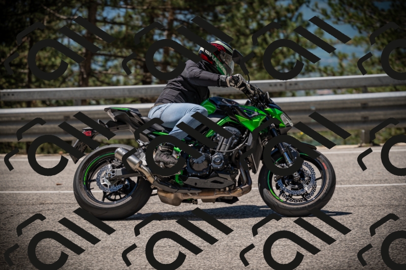 20250531115340-DSC_4130_am_