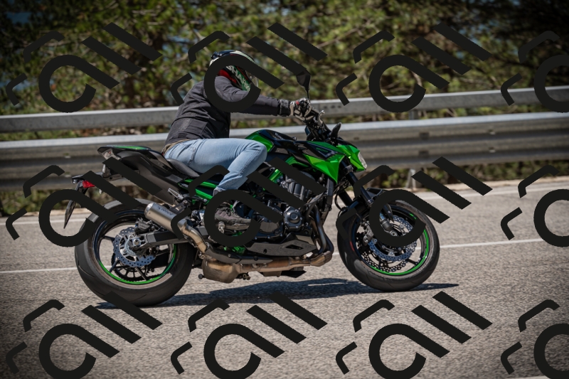 20250531115341-DSC_4131_am_