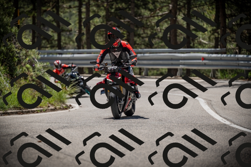 20250531115349-DSC_4133_am_