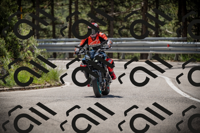 20250531115350-DSC_4136_am_