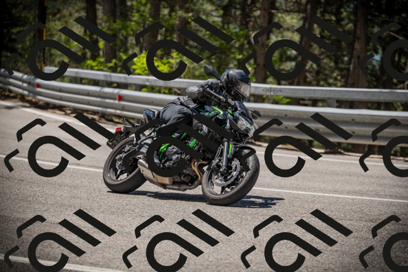 20250531115354-DSC_4137_am_