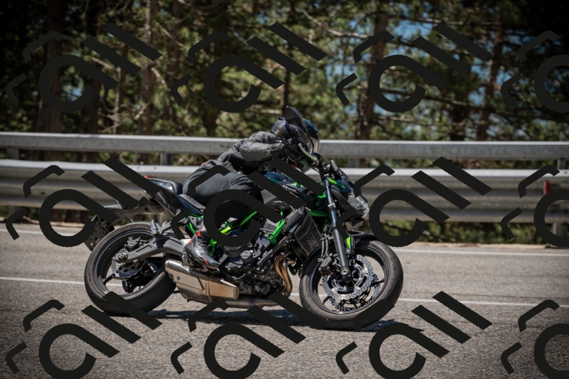 20250531115354-DSC_4138_am_