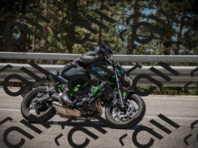 20250531115354-DSC_4138_am_