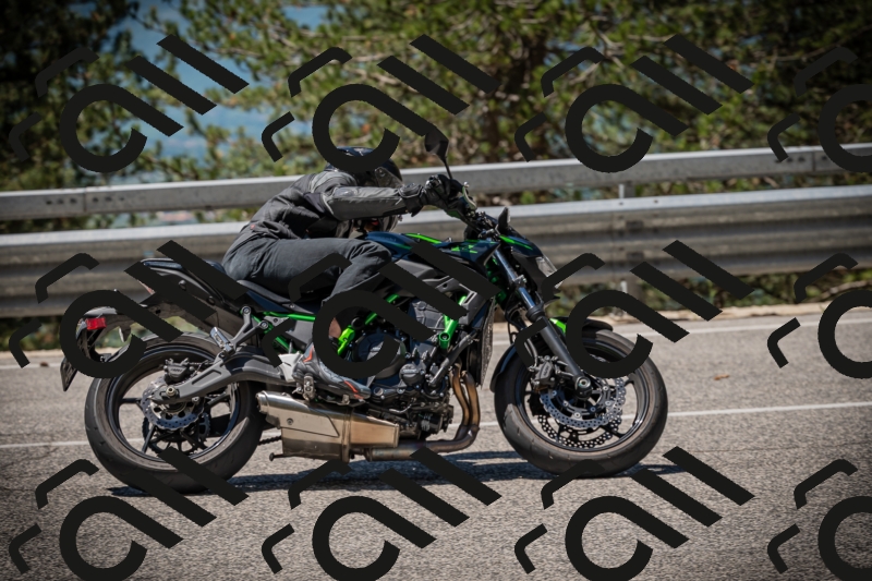 20250531115354-DSC_4139_am_