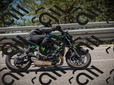 20250531115354-DSC_4139_am_