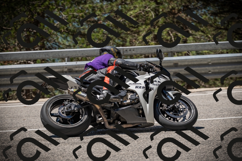 20250531115356-DSC_4141_am_