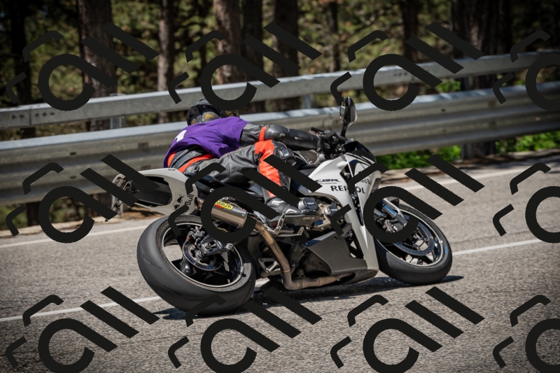 20250531115356-DSC_4142_am_