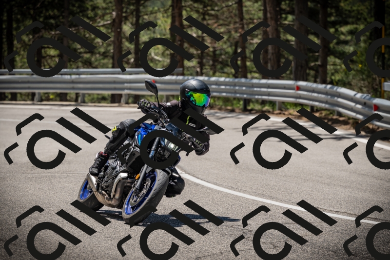 20250531115412-DSC_4149_am_