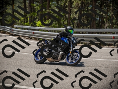 20250531115412-DSC_4150_am_