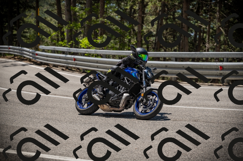 20250531115412-DSC_4150_am_