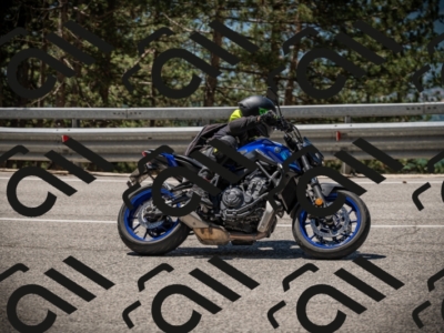 20250531115412-DSC_4151_am_