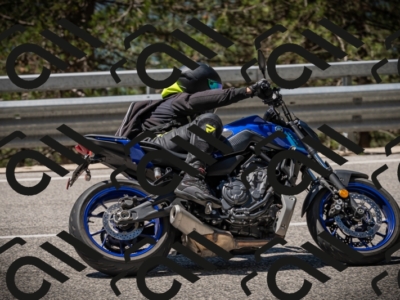 20250531115413-DSC_4152_am_