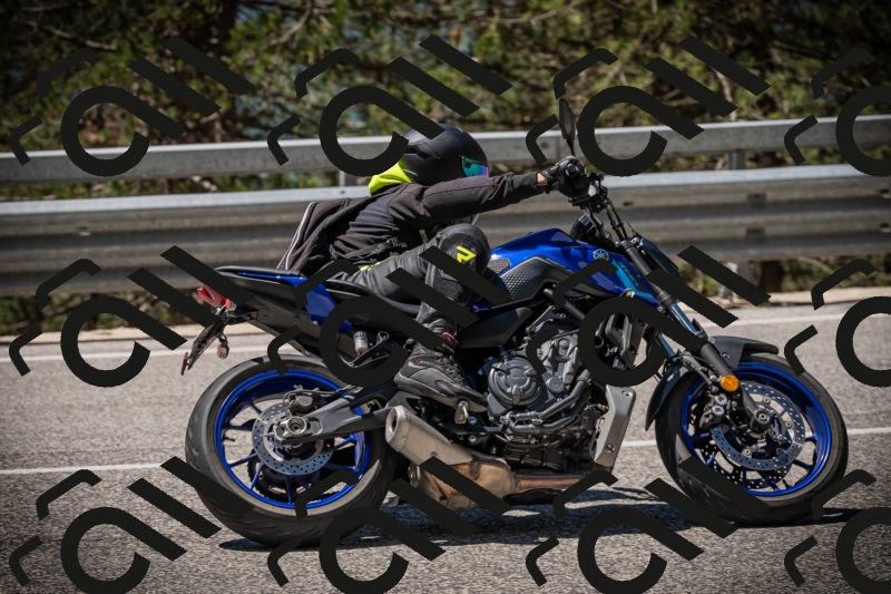 20250531115413-DSC_4152_am_