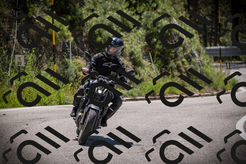 20250531115441-DSC_4154_am_