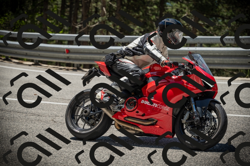 20250531115502-DSC_4162_am_