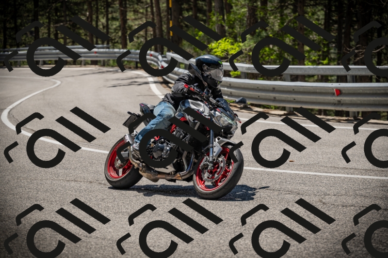 20250531115505-DSC_4163_am_