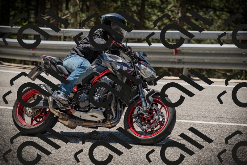 20250531115505-DSC_4164_am_