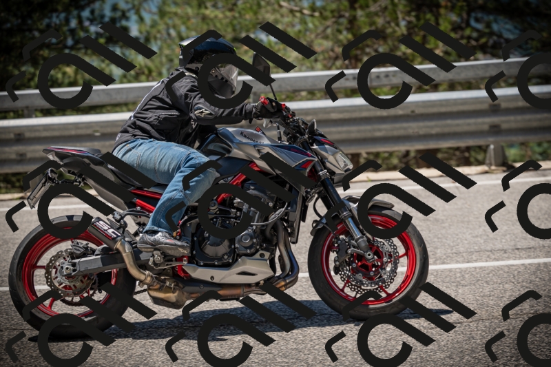 20250531115505-DSC_4165_am_