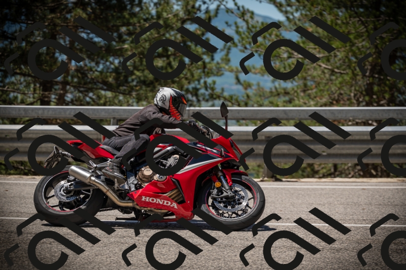 20250531115522-DSC_4169_am_