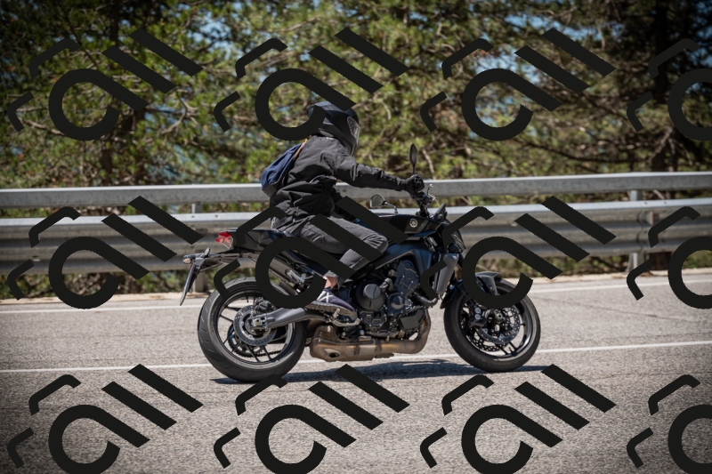 20250531115528-DSC_4174_am_