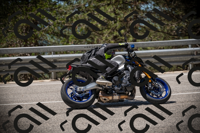 20250531115543-DSC_4175_am_