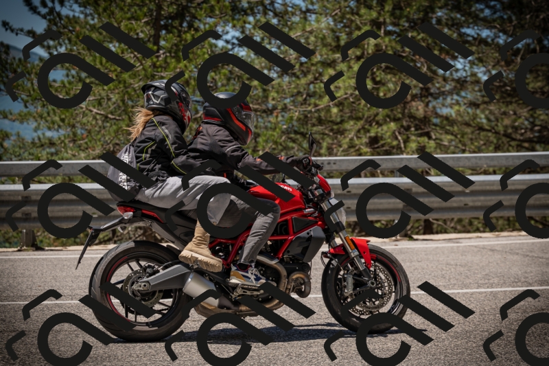 20250531115838-DSC_4196_am_