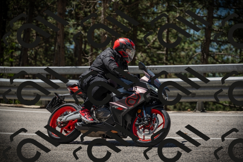 20250531115900-DSC_4199_am_