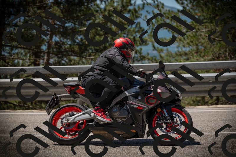 20250531115900-DSC_4200_am_