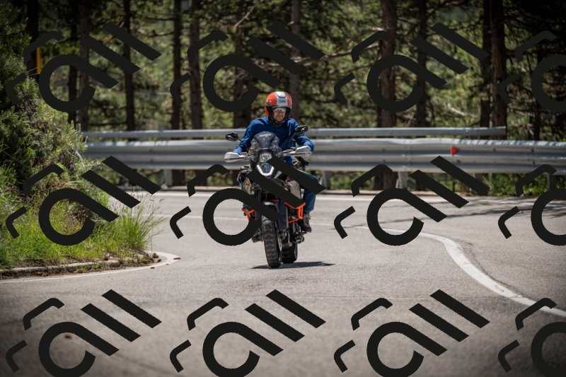 20250531115936-DSC_4201_am_