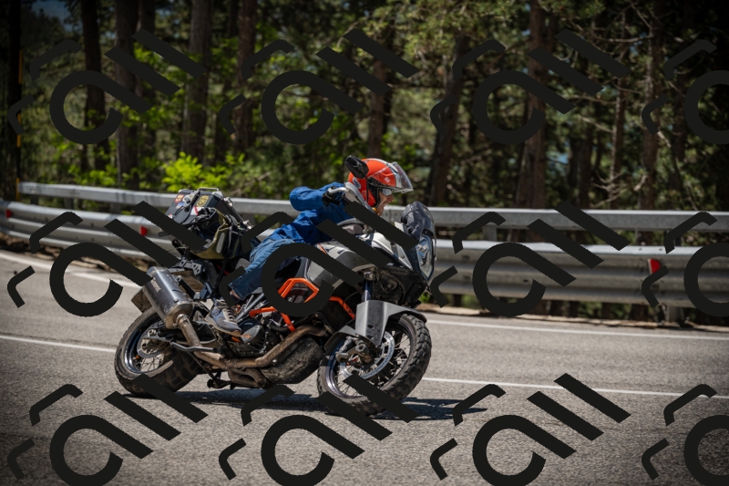 20250531115938-DSC_4203_am_