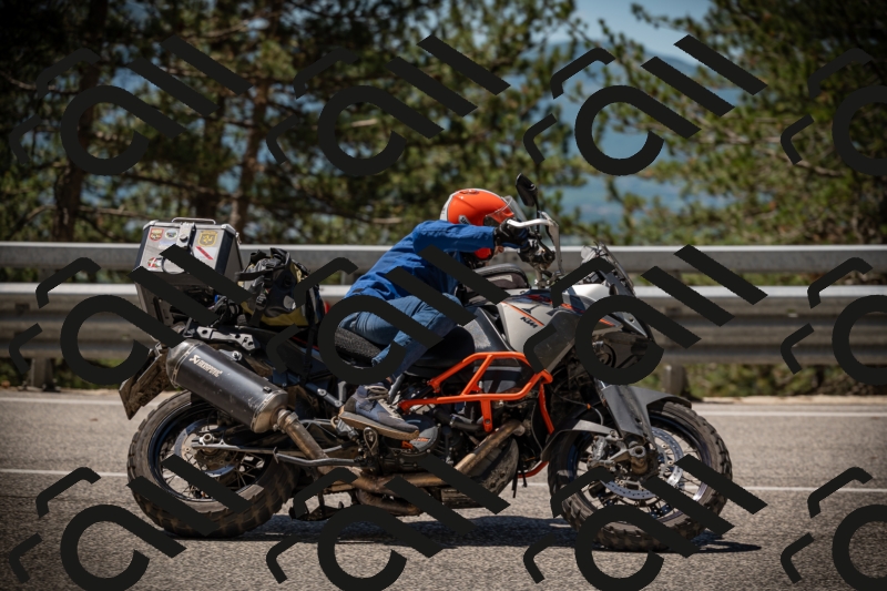 20250531115938-DSC_4204_am_