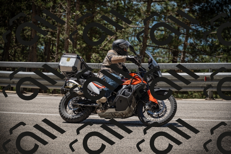 20250531115944-DSC_4207_am_