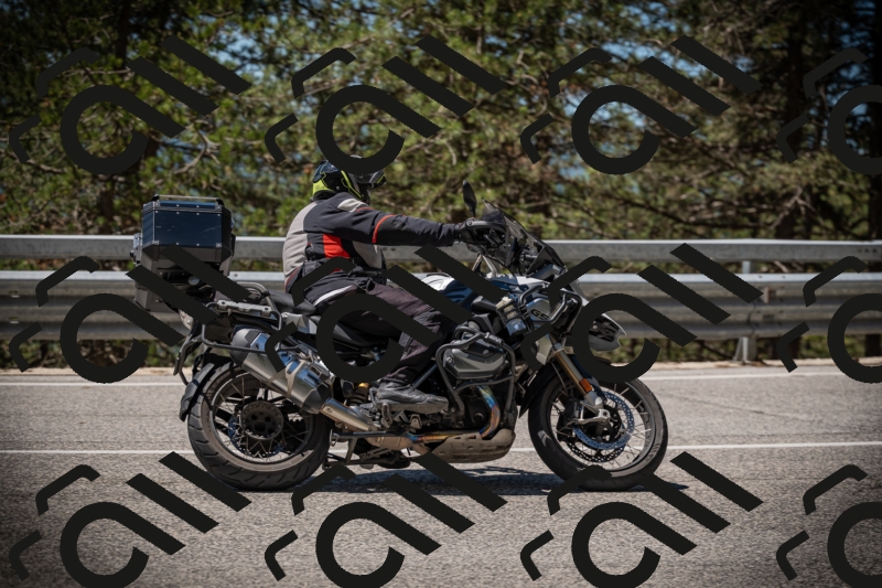 20250531115958-DSC_4214_am_