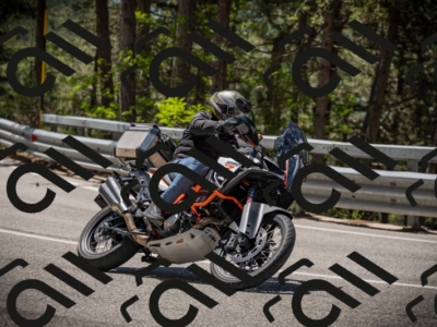 20250531120014-DSC_4221_am_